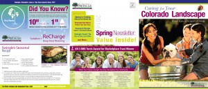 Tri Fold Spring Newsletter