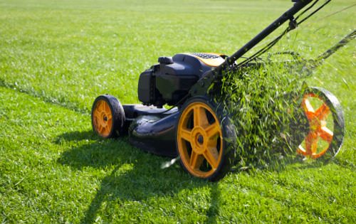 Mowing the grass – 3 really good reasons to keep on doing it