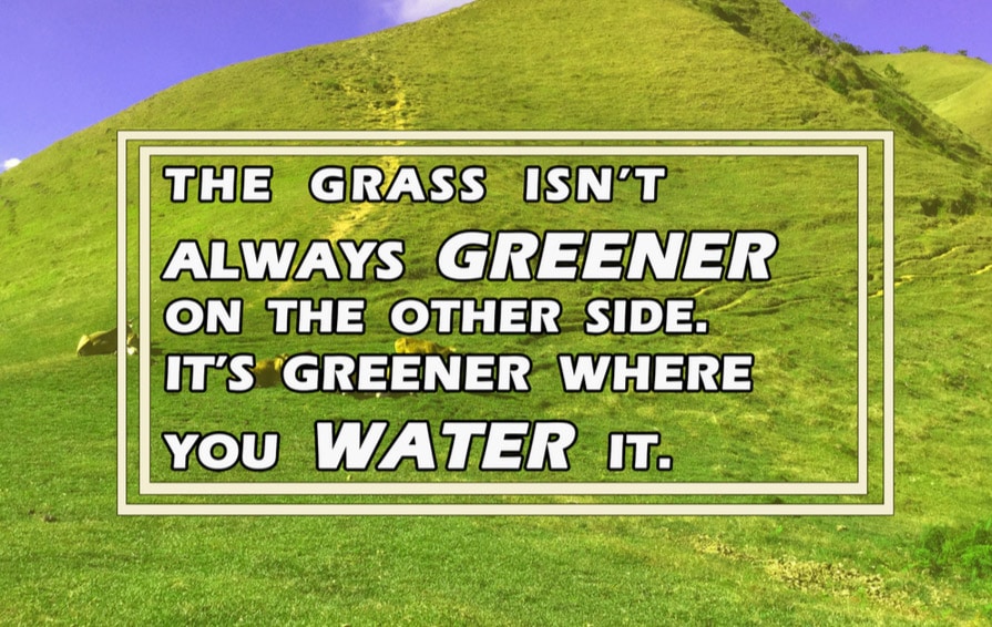 The grass is always greener blinds you from seeing what you already have